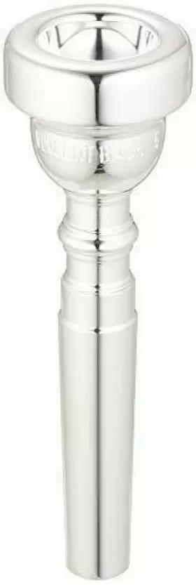 641064005022 VINCENT BACH Trombone Cleaning Care