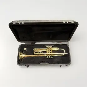 B16002 VINCENT BACH Trumpet Lacquered Mouthpiece