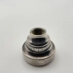 210000036269 WARBURTON Laud Trumpet Top #2