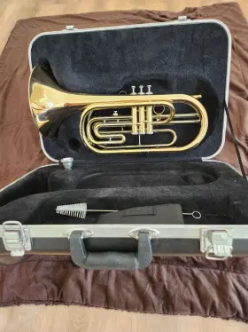 FB124 WESSEX Flugabone