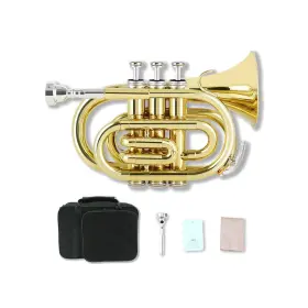 GUANYUE-062 WUQIMUSC Pocket Trumpet Key Mouthpiece Cleaning