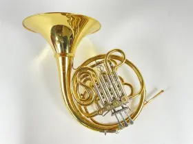 210000039870 XO Demo Double French Horn