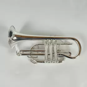 210000034528 YAMAHA Cornet #3