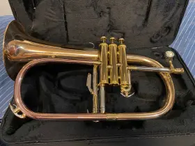 FAB5 YAMAHA Dblrflg Austin Flugelhorn
