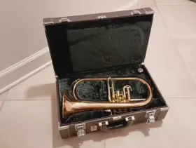 YFH-631A YAMAHA Flugelhorn Mouthpiece #2