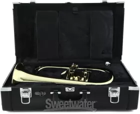 YFH-8310ZII YAMAHA Flugelhorn #3