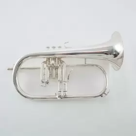 YFH8310ZS YAMAHA Ftbobby Shewft Flugelhorn #2