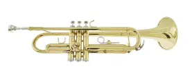 YTR-E100 YASISID Standard Trumpet #2