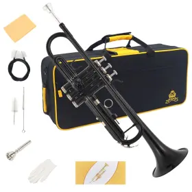 YTR-E350 YASISID Standard Trumpet Set Play Western Wind