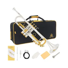 YTR-E820 YASISID Standard Trumpet Set Play Western Wind Beg