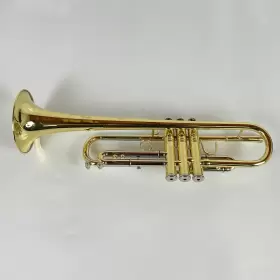 210000034579 ZO Trumpet #2
