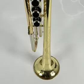 210000034579 ZO Trumpet #3