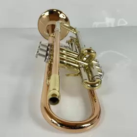 210000034583 ZO Trumpet #2
