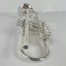 210000034585 ZO Trumpet #2