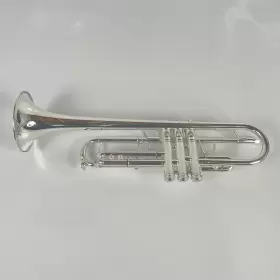 210000034585 ZO Trumpet #3