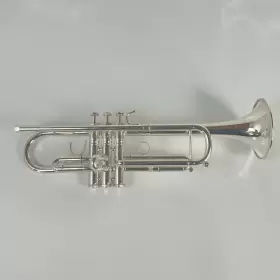 210000034585 ZO Trumpet