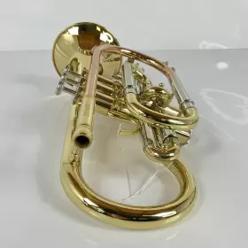 210000034587 ZO Cornet #2