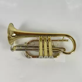 210000034587 ZO Cornet #3