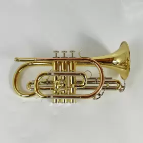 210000034587 ZO Cornet