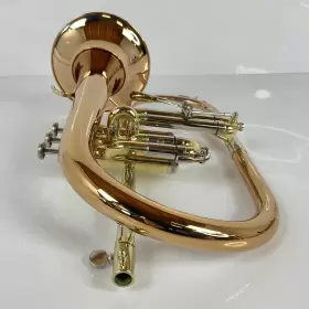 210000034589 ZO Flugelhorn #2