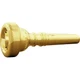 Bach Standard Series Flugelhorn Mouthpiece in Gold Group I 3E 194744645280