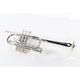 Eastman ETR530S Advanced Series Trumpet Silver Yellow Brass Bell 197881122096