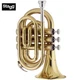Stagg WS-TR245S Key of Bb Brass Lacquer Pocket Trumpet with Soft Case