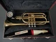 vintage holton collegiate trumpet C-602 Bb Cornet Silver And Brass W/Box
