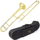 Glory GTD-2 B Flat Brass Trombone with Case  12C Mouthpiece,Gold Finished,Te...