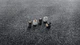 Genuine Porsche Decorative Valve Sleeves 991-044-602-68