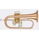 Blessing Standard Series Flugelhorn, Brushed Brass, Clear Lacquer, Outfit