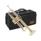Jean Paul TR-430 Intermediate Bb Trumpet - Brass Lacquered with Rose Brass Le...