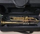 Valkyrie Gold Brass Standard Trumpet Lacquered 3-Valve w/ Case MPN 2012226