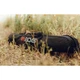 BOG 1181582 DeathGrip Tripod Padded Carry Bag with Adjustable Shoulder (1181582)