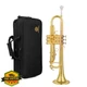 AUROSUS Bb Trumpet SB-710 Beginner Gold Lacquer