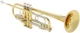 Bach 18043R Professional Stradivarius Bb Trumpet - Reverse Leadpipe - 43 Bell -