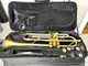 Gold Brass Trumpet & Black Hard Carrying Case By Aileen Lexington Standard