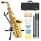 SONICAKE Gold Eb Alto Saxophone Complete Set - Beginner-Friendly Saxophone Kit
