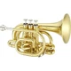 New JUPITER  POCKET TRUMPET -JTR 710Q in GOLD LACQUER - Ships FREE