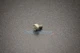 Bach Trombone Bumper Plate Screw NEW! Ships Fast! I6