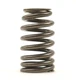NEW OEM GM Engine Valve Spring 12677931 Chevy GMC 4.3L 5.3L 6.6L 2014-2022
