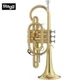 Stagg WS-CR215 Bb Cornet Clear Lacquer Mouthpiece & Case New in Box FREESHIP USA