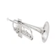 Jupiter JTR-1100SQ Professional Trumpet B-flat Brass silver plate Jazz Trumpet
