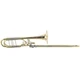S.E. Shires Q39GR Q-Series Professional Contrabass Trombone SN Q23352