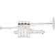 Eastman ETR823S Professional Bb/A Piccolo Trumpet Silver Yellow Brass Bell