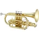 Jupiter JCR700UA Student Bb Cornet - Clear Lacquer