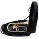 S.E. Shires Model Q19 Q-Series Professional Flugelhorn BRAND NEW