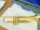 HOLTON TRUMPET  MODEL T602