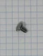 Olds Ambassador Cornet Trumpet 3rd Slide Lyre Screw