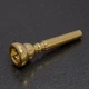 Genuine Schilke 20 Gold Trumpet Mouthpiece **Factory New In the Box**